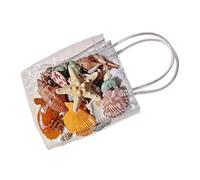 Mini Coquillages Petites Décorations Étoile De Mer Pour Bougies En Vrac | Petits Coquillages Marins Pour Débutant Adulte Enfant Prof D'Art Déco Table Bijoux Gâteau Aquarium