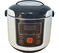 Mini-cuiseur à riz, 2 l, petit cuiseur à riz électrique, cuiseur à riz de voyage, fonction maintien au chaud, convient pour 2-4 personnes, 12 V