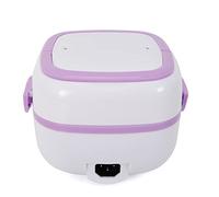Mini cuiseur à riz et cuiseur vapeur 200 W multifonction 1 litre Boîte à repas électrique portable