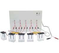 Mini démonstrateur de conductivité solution électrolytique, dispositif test alimenté 6 V CC, instrument démonstration laboratoire chimie avec électrodes