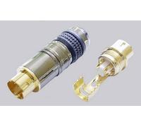 Mini DIN mâle, droit BKL Electronic 0212017 Nombre de pôles: 4 chrome 1 pc(s)