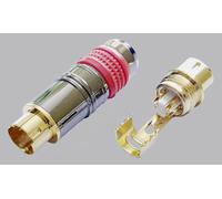 Mini DIN mâle, droit BKL Electronic 0212018 Nombre de pôles: 4 chrome 1 pc(s)