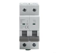Mini disjoncteur 2 pôles MCB 61016202532405063A pour une protection fiable contre les surcharges (20 A)