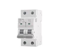 Mini-disjoncteur à rail DIN GYM9H 2 pôles 10 kA haut pouvoir de coupure 6 A-63 A AC(25 V)