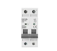 Mini disjoncteur DC MCB 6KA 2P 500VDC Rail Din DC 80A 100A 125A MCB for système solaire photovoltaïque(100A)
