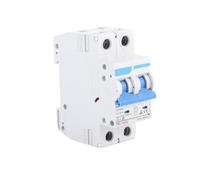 Mini Disjoncteur, Disjoncteur à Montage sur Rail DIN à 2 Pôles, Interrupteur de Déconnexion DC 550 V 20 A, Disjoncteur Miniature pour la Maison et Le Bureau pour Une Gestion Sûre