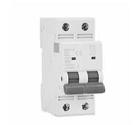 Mini disjoncteur Double phase GYM9 DP MCB 80A 100A 125A 2P largeur 35.6mm 400V 6KA 1 pièces Interrupteur automatique (Color : 100A, Size : 2 Pole C Curve)
