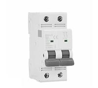 Mini disjoncteur Double phase GYM9 DP MCB Ture Cureent de 80A 100A 125A 2P largeur 35.6mm 400V 6KA 1 pièce Interrupteur automatique (Color : 100a, Size : 2 Pole C Curve)