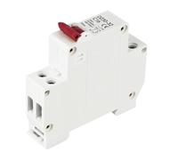 Mini-disjoncteur DZ30-32 DPN 1P+N MCB 6A 10A 16A 20A 25A 32A, Montage Sur Rail DIN, Interrupteur Miniature For Usage Domestique, OEM, DIY(10A)