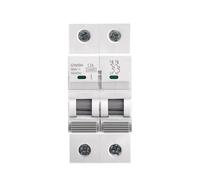 Mini-disjoncteur GYM9H 10KA 2P 6A-63A 400V C courbe DIN rail type AC Chine MCB usine(63A)