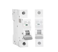 Mini-disjoncteur GYM9H 10KA 6A 10A 16A 20A 25A 32A 40A 50A 63A 220V/400V Courbe C(63A)