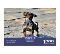 Mini Doberman Inu 1000 Pièces Animaux Puzzle Défi Jouet Jeu Éducatif Puzzles Décorationd’intérieur pour Adulte Adultes Cadeaux 70x50cm/1000pcs