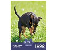 Mini Doberman Inu 1000 Pièces Animaux Puzzle Défi Jouet Jeu Impossible Décoration D'intérieur Et Enfants À Partir De 14+ Ans pour Enfants Cadeaux 70x50cm/1000pcs