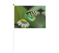 Mini drapeaux colorés à imprimé papillon vert pour grande ouverture, bar, bureau, défilés de la coupe du monde et événements sportifs