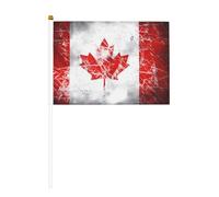 Mini drapeaux rétro du Canada - Idéal pour les événements en plein air, l'esprit d'équipe et les décorations, 14 x 20,8 cm