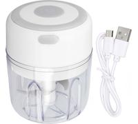 Mini Electric Hachoir à ail grande capacité Moteur puissant en acier inoxydable 304 Robot de cuisine 250 ml Blanc