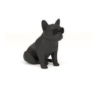 Mini Enceinte Connectée - Design BullDog - Aerobull XS1 - 120W - Noir - Jarre Technologies