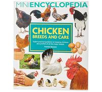Mini Encyclopedia of Chicken Breeds and Care