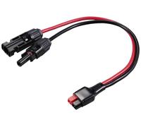Mini fiche mâle Starkstrom sur fiche mâle solaire longueur de câble 250 mm TC-12195720 noir, rouge TRU COMPONENTS Contenu: 1 pc(s)