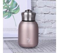 Mini Flacons Sous Vide De 300ml, Joli Thermos En Acier Inoxydable, Portable, Bouteille D'eau De Voyage, Isolée, Thermique, Pour Le Sport