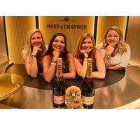 Mini-fourgonnette (1-6 PAX)