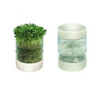 Mini Germoir À Graine En Verre