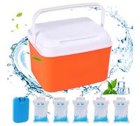 Mini glacière, Petite glacière Rigide isolée de 5 pintes, Petite Portable avec poignées, Mini pour Pique-Nique à la Plage, Camping, Orange pour Camping