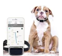 Mini GPS Tracker étanche pour Chiens Chats et Tous Les Animaux domestiques système de Suivi avec alarmes et Microphone pour écoute à Distance (G12P)