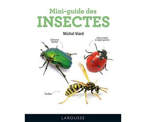 Mini-guide des insectes