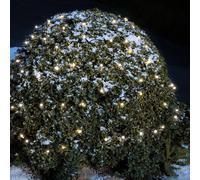 Mini-Guirlande Led Extérieur 80 Lampes Blanc Chaud Blanc