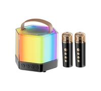 Mini haut-parleur de karaoké : machine audio sans fil, doubles microphones à main inclus, spectacles de lumières en couleurs , portable de musique et de chant | Option Eve