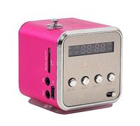Mini Haut-Parleur Lecteur de Musique Portable léger Radio FM stéréo PC Support de Mode Carte TF et Disque U Plug abd Play Support système de fichiers FAT16/FAT32(Rose)