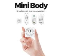 Mini interrupteur d'éclairage intelligent WiFi 10A, minuterie de disjoncteur universelle, télécommande sans fil, fonctionne avec Alexa Google Home, pour maison intelligente