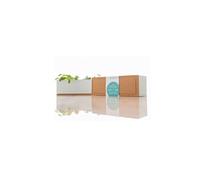 - mini jardin basilic et coriandre