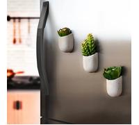 Mini jardinières - GIFT REPUBLIC - Béton - Magnétiques - 4x4x6 cm - Intérieur