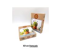 Mini kit feutrine cactus coussin à épingles - Niveau Intermédiaire(...) - Vert