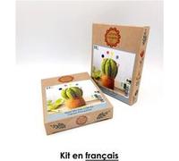 Mini kit feutrine cactus coussin à épingles - Niveau Intermédiaire(...) - Vert