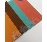 Mini Kit Intégration Couleurs Armochromie - 4 Draps Premium pour intégrer votre Kit de Base | Compatible avec Maison Image Academy et autres marques (ESSENCE - WARM SPRING)