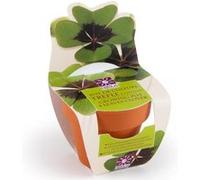 Mini kit Trèfle à 4 feuilles en pot de culture terre cuite Radis et Capucine 6 cm G