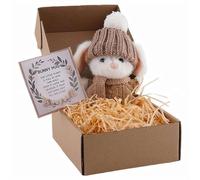 Mini lapin câlin mignon cadeau de Pâques lapin dans une boîte avec carte d'encouragement Petite poupée faite à la main en peluche au crochet pour enfants, filles, amis pensant à vous