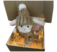 Mini Lapin de Pâques Enveloppé dans une Boîte, Petite Peluche de Lapin de Poche, Amour et Soutien Émotionnel avec Carte d'Inspiration, Soulagement de l'Anxiété, Jouet de Pâques pour Enfants et Adultes