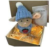 Mini Lapin de Pâques Enveloppé dans une Boîte, Petite Peluche de Lapin de Poche, Amour et Soutien Émotionnel avec Carte d'Inspiration, Soulagement de l'Anxiété, Jouet de Pâques pour Enfants et Adultes