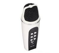 Mini Microphone Voice Changer for Mobile & PC