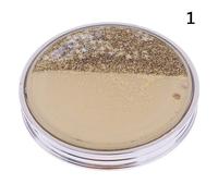 Mini Miroir De Maquillage Pour Filles, Avec Du Sable Étincelant, De Poche Compact, Portable, Pliable, Double Face, Pour Cosmétiques, Nouveau