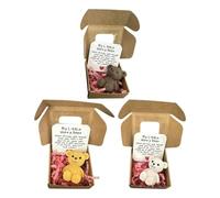 Mini ours de poche dans une boîte, petits ours de poche avec inspiration pour l'obtention d'un diplôme, carte de condoléances de naissance, cadeaux