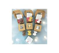 Mini ours en peluche fait à la main dans une boîte, petit ours dans une boîte, un petit ours de poche, My LittleWorry Bears, ours inspirant avec carte positive, soutien émotionnel