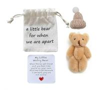 Mini ours inquiet avec chapeau, mini ours positifs, ours de poche dans un sac avec petite carte d'encouragement, cadeau Miss You, cadeaux d'encouragement, bonne chance aux examens, cadeau de