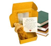 Mini Ours - Souvenir En Peluche Fait À La Main, Format De Poche, Emballage Dans Une Boîte Cadeau, Compagnon De Carte De Message Inspirant, Petit De Confort Animal Doux Pour Fête Prénatale, Récom