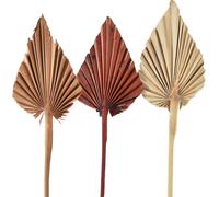 Mini Palmspear assorti Marocco 30 pcs Deko feuilles de palmier