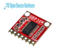 MINI panneau d'amplificateur numérique Mono OEP30W, 30W classe D, 1 pièce